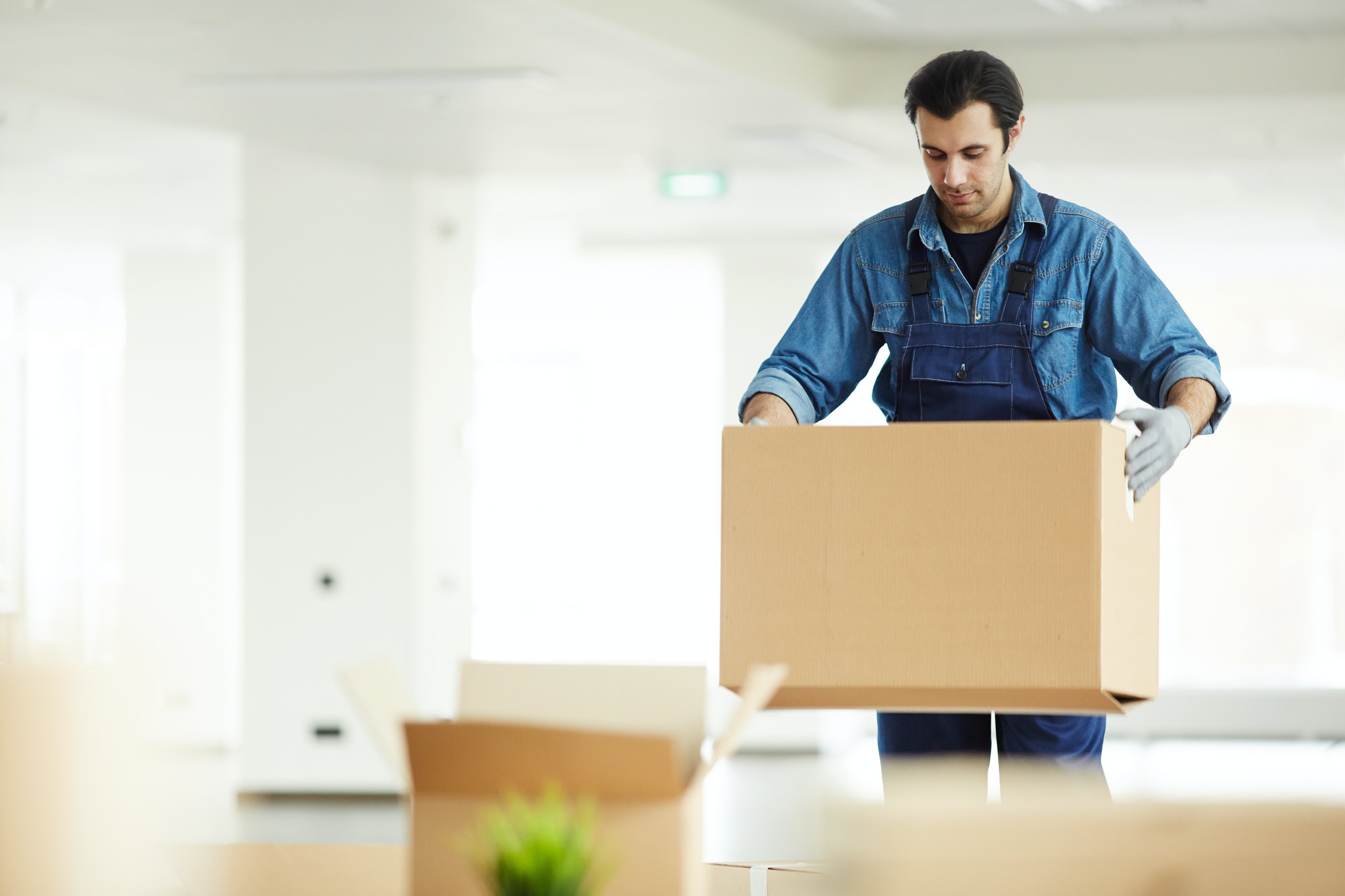 Movers and Packers Dubai